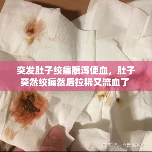 突發(fā)肚子絞痛腹瀉便血，肚子突然絞痛然后拉稀又流血了 
