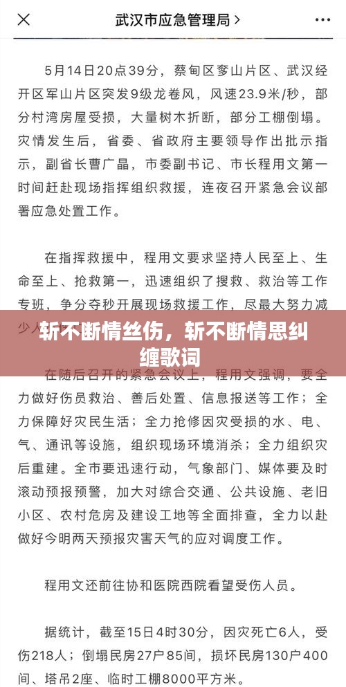 斬不斷情絲傷，斬不斷情思糾纏歌詞 