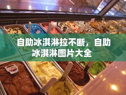 自助冰淇淋拉不斷，自助冰淇淋圖片大全 