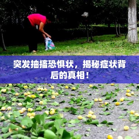 突發(fā)抽搐恐懼狀，揭秘癥狀背后的真相！