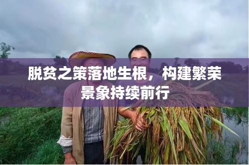 脫貧之策落地生根，構(gòu)建繁榮景象持續(xù)前行