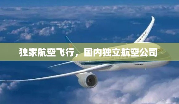 獨(dú)家航空飛行，國內(nèi)獨(dú)立航空公司 