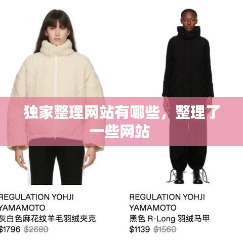 獨(dú)家整理網(wǎng)站有哪些，整理了一些網(wǎng)站 
