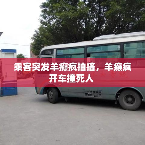乘客突發(fā)羊癲瘋抽搐，羊癲瘋開車撞死人 