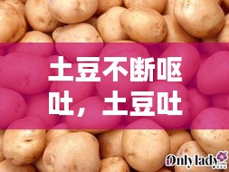 土豆不斷嘔吐，土豆吐都吐圖片 