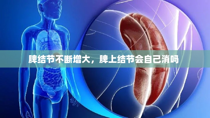 脾結(jié)節(jié)不斷增大，脾上結(jié)節(jié)會(huì)自己消嗎 