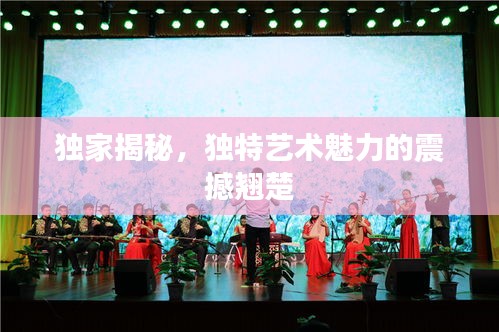 獨(dú)家揭秘，獨(dú)特藝術(shù)魅力的震撼翹楚