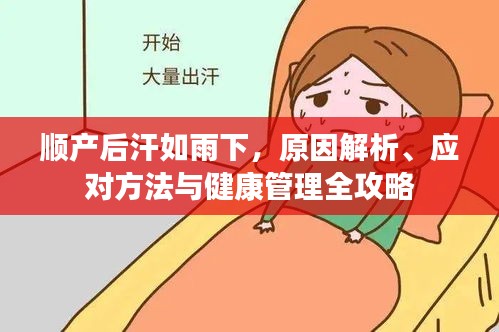 順產(chǎn)后汗如雨下，原因解析、應(yīng)對方法與健康管理全攻略