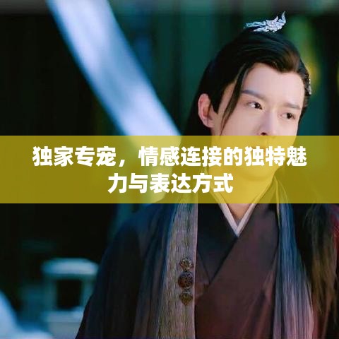 獨家專寵，情感連接的獨特魅力與表達(dá)方式