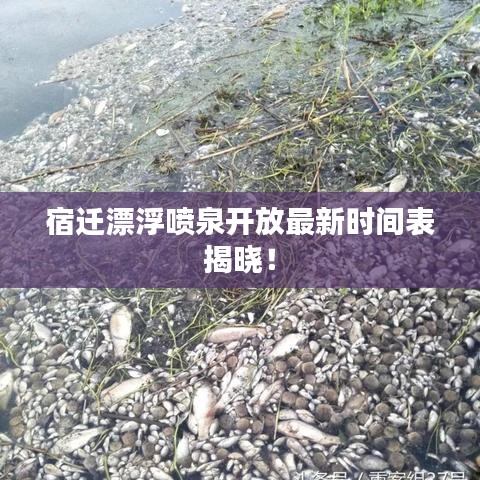 宿遷漂浮噴泉開(kāi)放最新時(shí)間表揭曉！