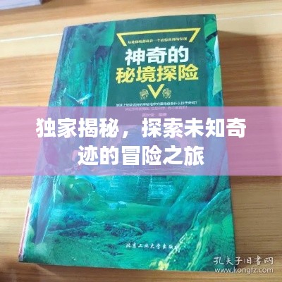 獨(dú)家揭秘，探索未知奇跡的冒險(xiǎn)之旅