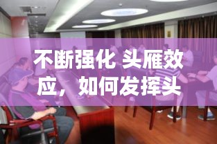 不斷強(qiáng)化 頭雁效應(yīng)，如何發(fā)揮頭雁效應(yīng) 
