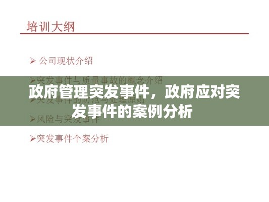 政府管理突發(fā)事件，政府應對突發(fā)事件的案例分析 