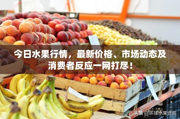 今日水果行情，最新價格、市場動態(tài)及消費者反應(yīng)一網(wǎng)打盡！
