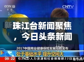 珠江臺(tái)新聞聚焦，今日頭條新聞報(bào)道