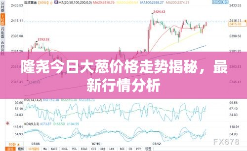 隆堯今日大蔥價格走勢揭秘，最新行情分析