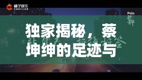 獨(dú)家揭秘，蔡坤紳的足跡與深遠(yuǎn)影響