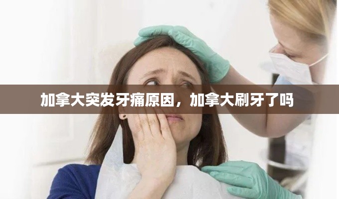 加拿大突發(fā)牙痛原因，加拿大刷牙了嗎 