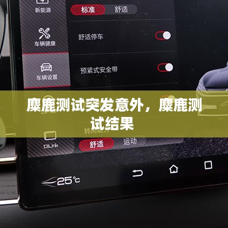 麋鹿測試突發(fā)意外，麋鹿測試結果 