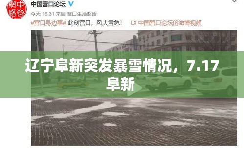 遼寧阜新突發(fā)暴雪情況，7.17阜新 