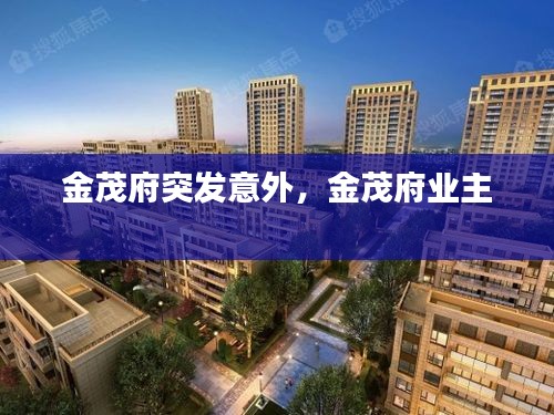 金茂府突發(fā)意外，金茂府業(yè)主 