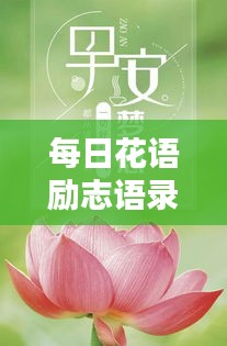 每日花語(yǔ)勵(lì)志語(yǔ)錄，簡(jiǎn)短鼓舞人心的話(huà)語(yǔ)精選