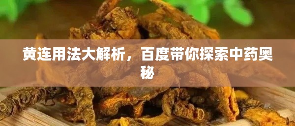 黃連用法大解析，百度帶你探索中藥奧秘