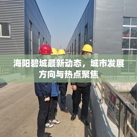 海陽碧城最新動態(tài)，城市發(fā)展方向與熱點(diǎn)聚焦