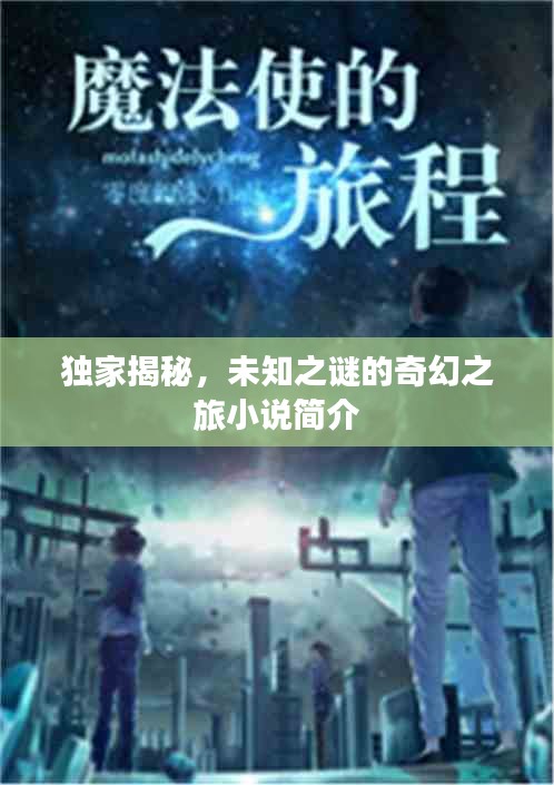 獨(dú)家揭秘，未知之謎的奇幻之旅小說(shuō)簡(jiǎn)介