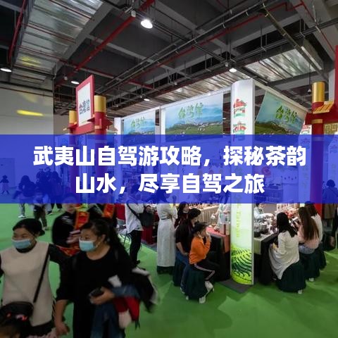 武夷山自駕游攻略，探秘茶韻山水，盡享自駕之旅