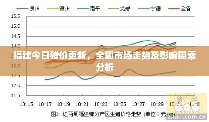福建今日豬價更新，全國市場走勢及影響因素分析