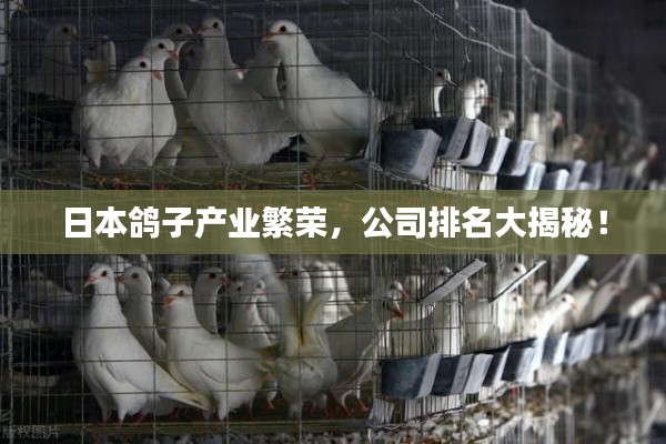 日本鴿子產(chǎn)業(yè)繁榮，公司排名大揭秘！