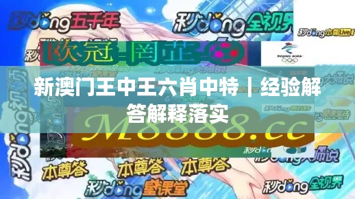 新澳門王中王六肖中特｜經(jīng)驗解答解釋落實