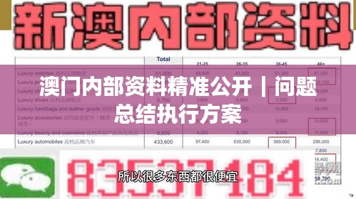 澳門內(nèi)部資料精準公開｜問題總結(jié)執(zhí)行方案