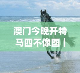 澳門今晚開特馬四不像圖｜廣泛的關(guān)注解釋落實(shí)熱議