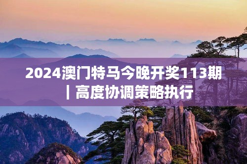 2024澳門特馬今晚開獎(jiǎng)113期｜高度協(xié)調(diào)策略執(zhí)行