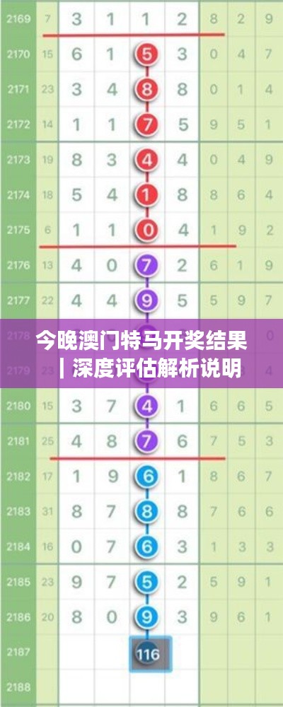 今晚澳門特馬開獎結(jié)果｜深度評估解析說明