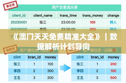 《澳門天天免費(fèi)精準(zhǔn)大全》｜數(shù)據(jù)解析計(jì)劃導(dǎo)向