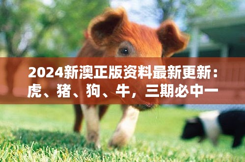 2024新澳正版資料最新更新：虎、豬、狗、牛，三期必中一期