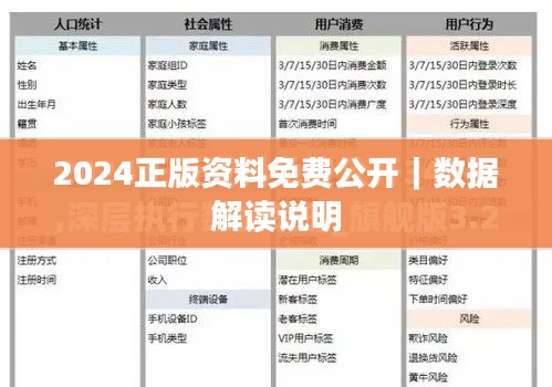 2024正版資料免費公開｜數(shù)據(jù)解讀說明