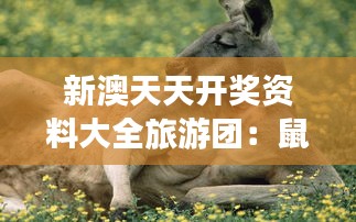 新澳天天開獎資料大全旅游團(tuán)：鼠、雞、猴、狗，免費(fèi)資料