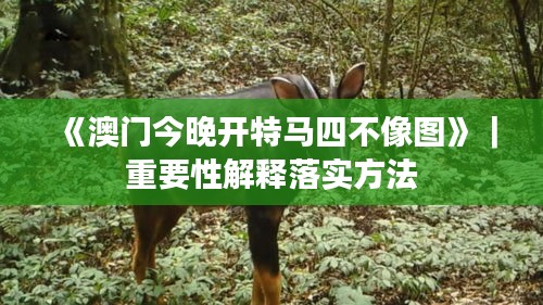 《澳門今晚開特馬四不像圖》｜重要性解釋落實方法
