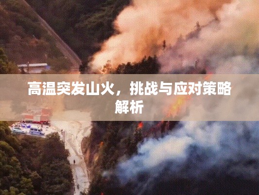 高溫突發(fā)山火，挑戰(zhàn)與應(yīng)對(duì)策略解析