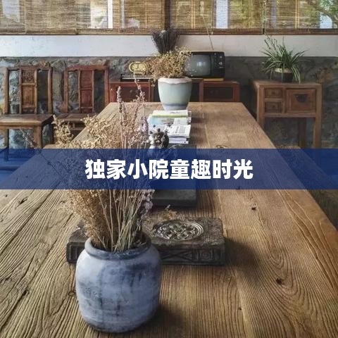獨(dú)家小院童趣時(shí)光