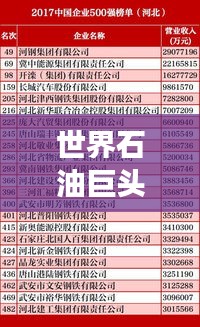 世界石油巨頭榜單出爐，中國石油工業(yè)的崛起與全球排名解讀