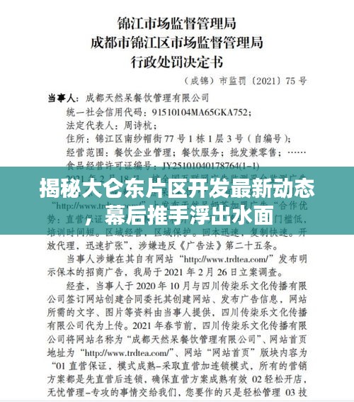 揭秘大侖東片區(qū)開發(fā)最新動態(tài)，幕后推手浮出水面
