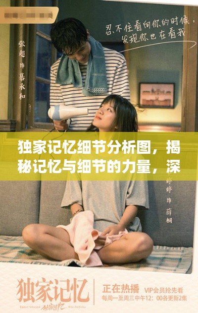 獨(dú)家記憶細(xì)節(jié)分析圖，揭秘記憶與細(xì)節(jié)的力量，深度解讀引人矚目