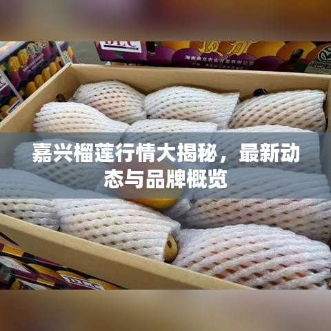 飛珠濺玉 第2頁(yè)