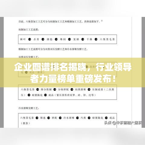 企業(yè)圖譜排名揭曉，行業(yè)領(lǐng)導(dǎo)者力量榜單重磅發(fā)布！