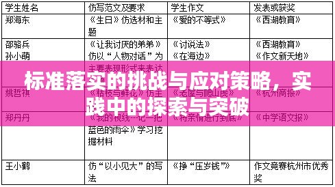 標(biāo)準(zhǔn)落實(shí)的挑戰(zhàn)與應(yīng)對(duì)策略，實(shí)踐中的探索與突破